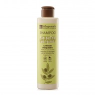 Frequent Wash Shampoo